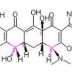 Demethyichlortetracycline