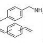 Divinylbenzene Copolymer