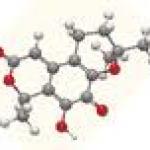 Erythromycin Ethyl Carbonate