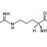 L-Arginine