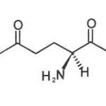 L-Glutamic Acid