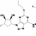 Ticagrelor Intermediate