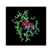 Bekanamycin Solfate