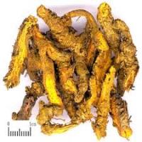 Berberine