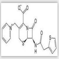 Cefaloridine