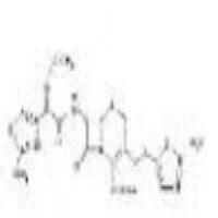 Cefuzonam Sodium