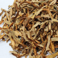 Rhizoma Drynariae Extract