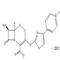 Cefoselis Lorraine mother nucleus