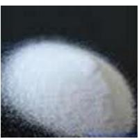 Chloramphenicol Succinate Sodium