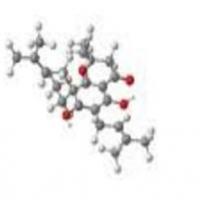 Clindalycin Palmitate Hydrochloride