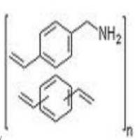 Divinylbenzene Copolymer