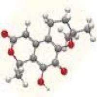 Erythromycin Ethyl Carbonate