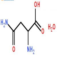 L-Asparagine H2O