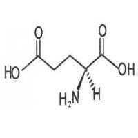 L-Glutamic Acid